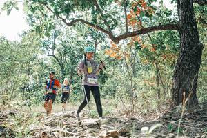 BIB: 
                            <button type="button" onclick="openModal(26104743)" class="btn btn-primary btn-sm float-right btn-popup" data-toggle="modal" data-target=".modal-high-quality">
                        <i class="fas fa-shopping-cart"></i> Add to Cart
                    </button>
                                            <button type="button" onclick="isThisMe(26104743, true)" class="btn btn-success btn-sm float-right btn-popup btn-isme hidden" data-toggle="tooltip" data-placement="bottom" title="นี่คือรูปของคุณใช่ไหม คลิกที่นี่เพื่อเอาเข้าอัลบั้ม">
                        <i class="fas fa-plus"></i> Add to album
                    </button>
                    <button type="button" onclick="isThisMe(26104743, false)" class="btn btn-warning btn-sm float-right btn-popup btn-isnotme hidden">
                        <i class="fas fa-ban"></i> Remove from album
                    </button>